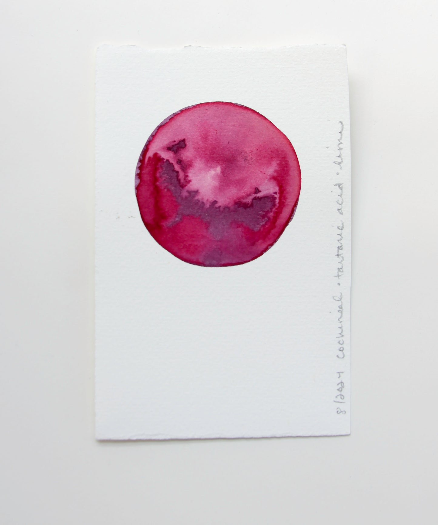 Cochineal Ink Study
