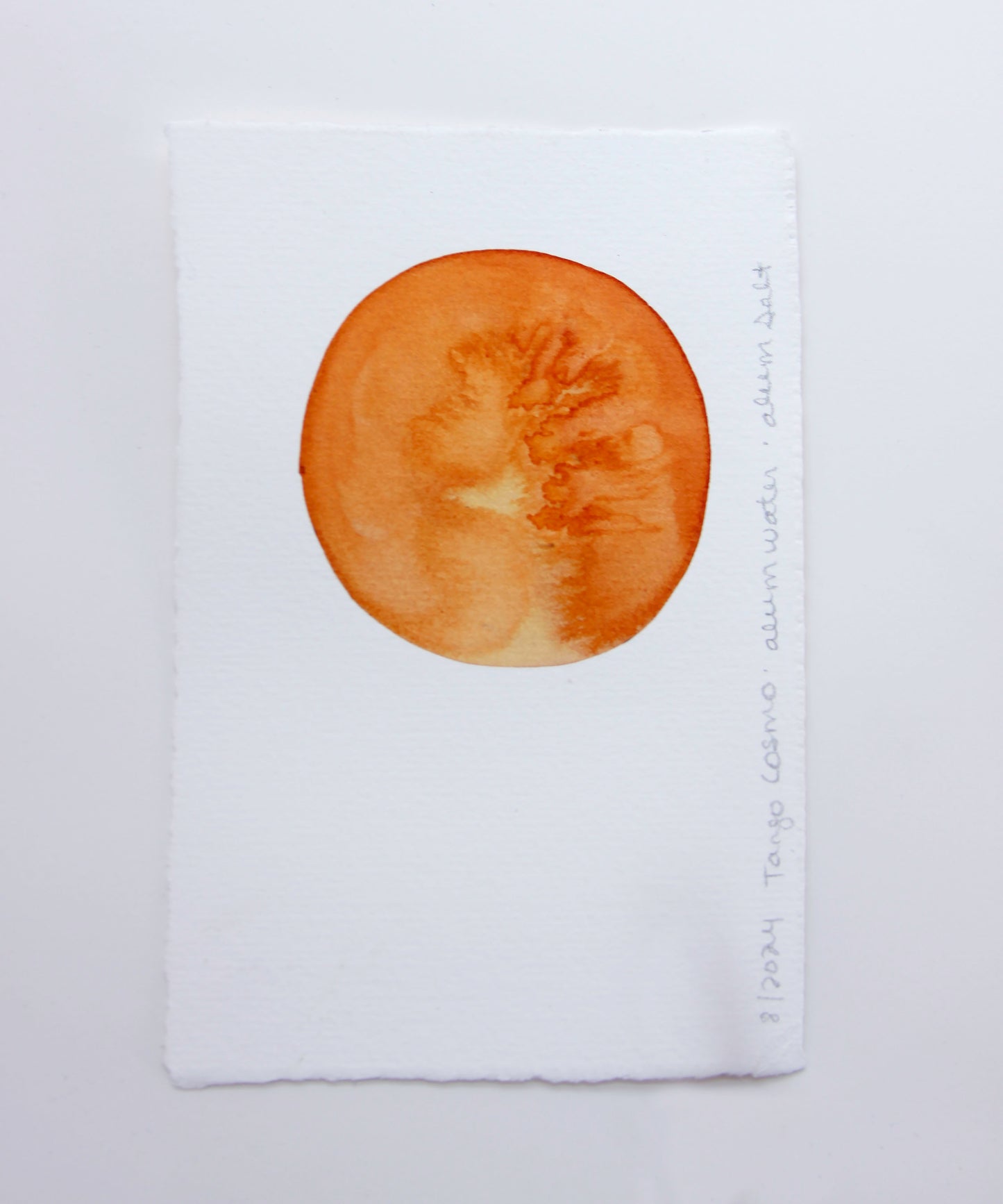 Tango Cosmo Ink Study #2