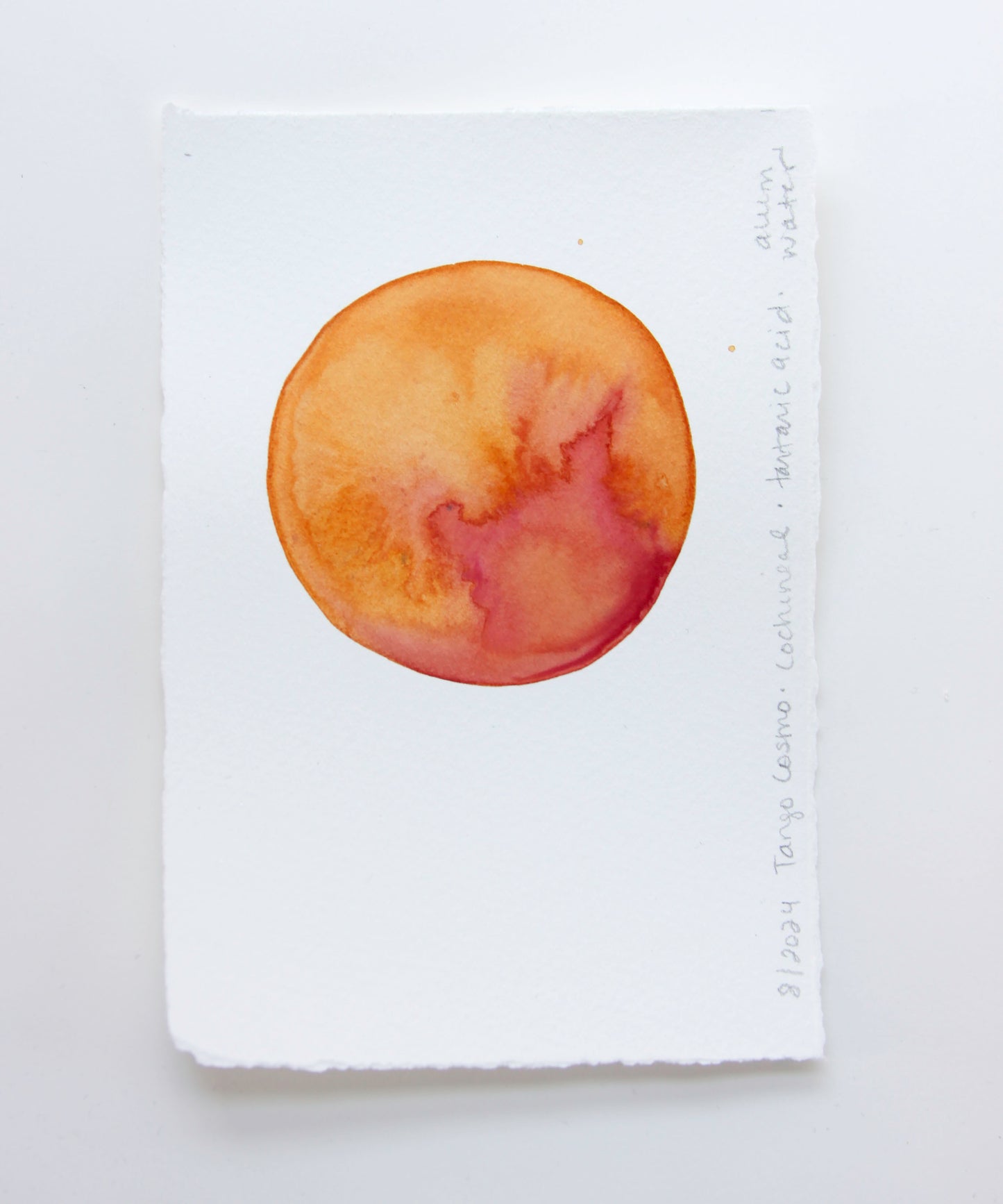 Tango Cosmo Ink Study #3