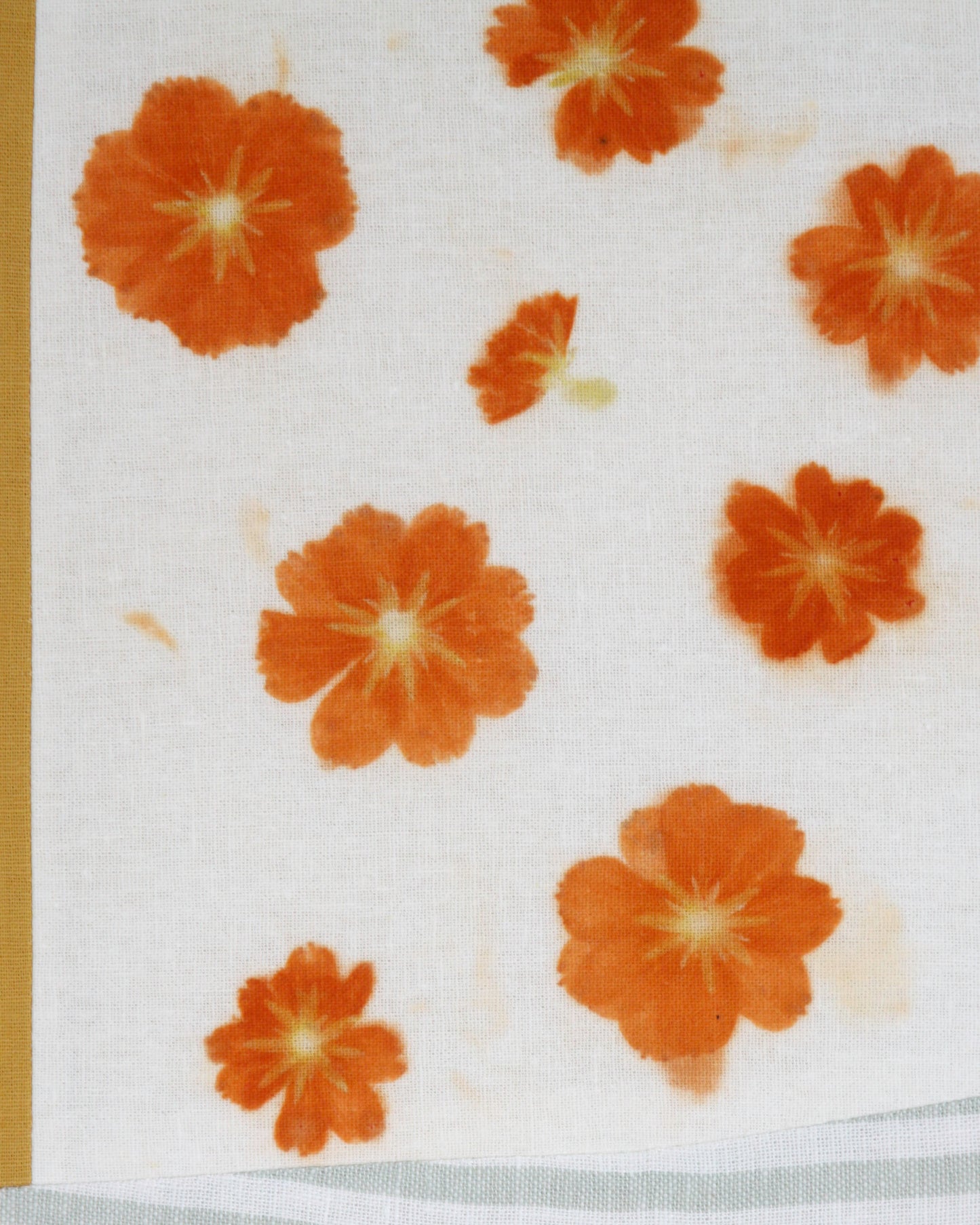 Love Letters, Tango Cosmo 3