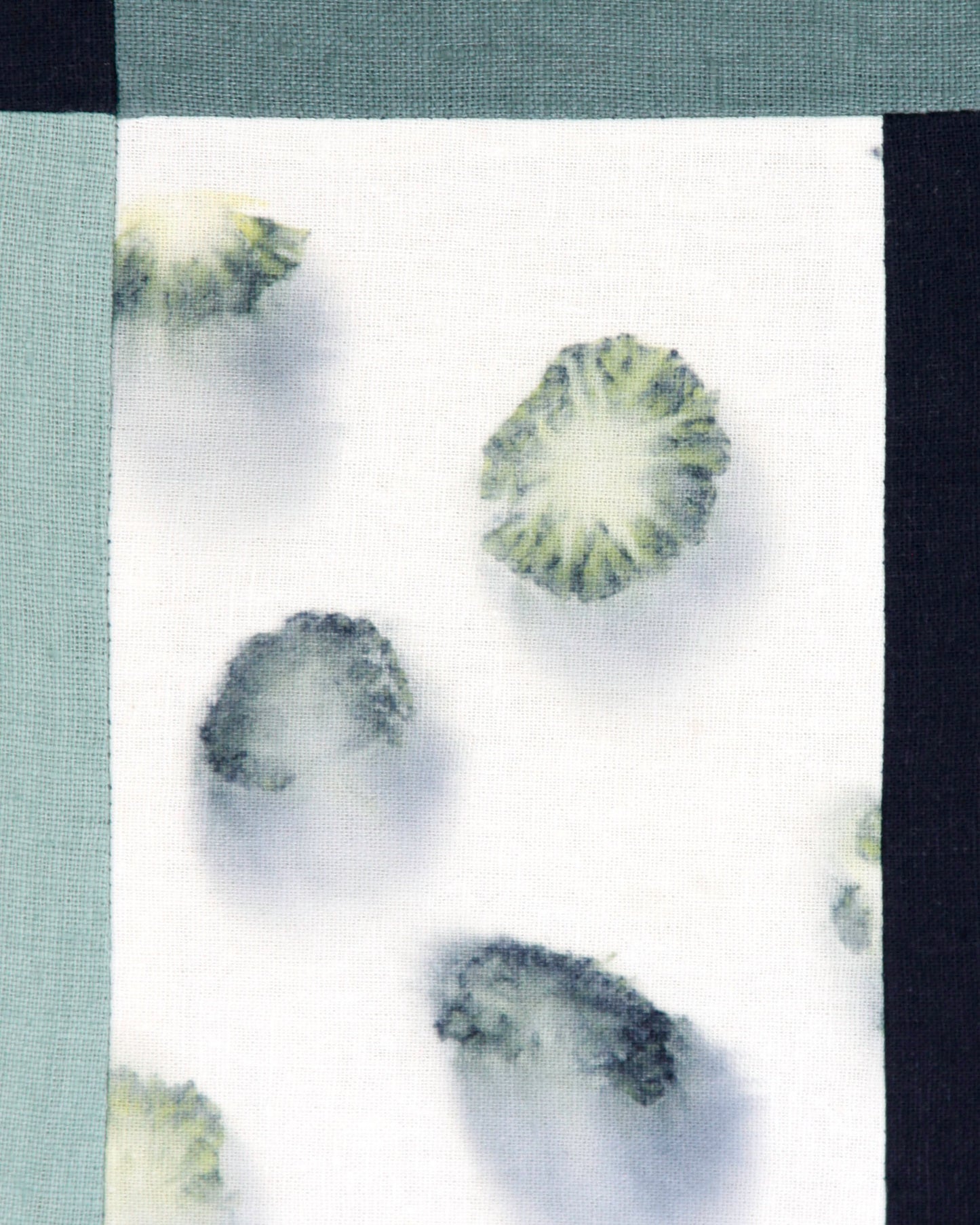 Love Letters, Purple Pincushion Flower 3