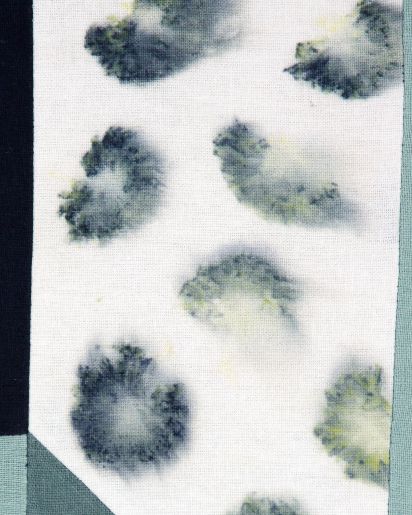 Love Letters, Purple Pincushion Flower 4