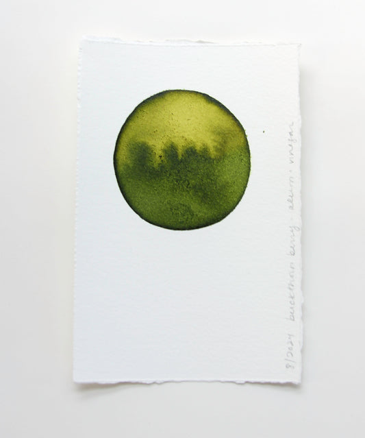 Buckthorn Berry Ink Study #3