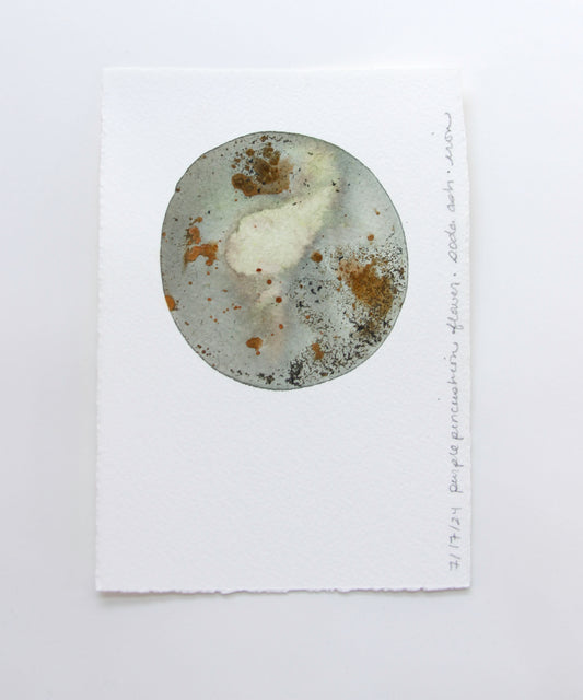 Purple Pincushion Flower Ink Study #3