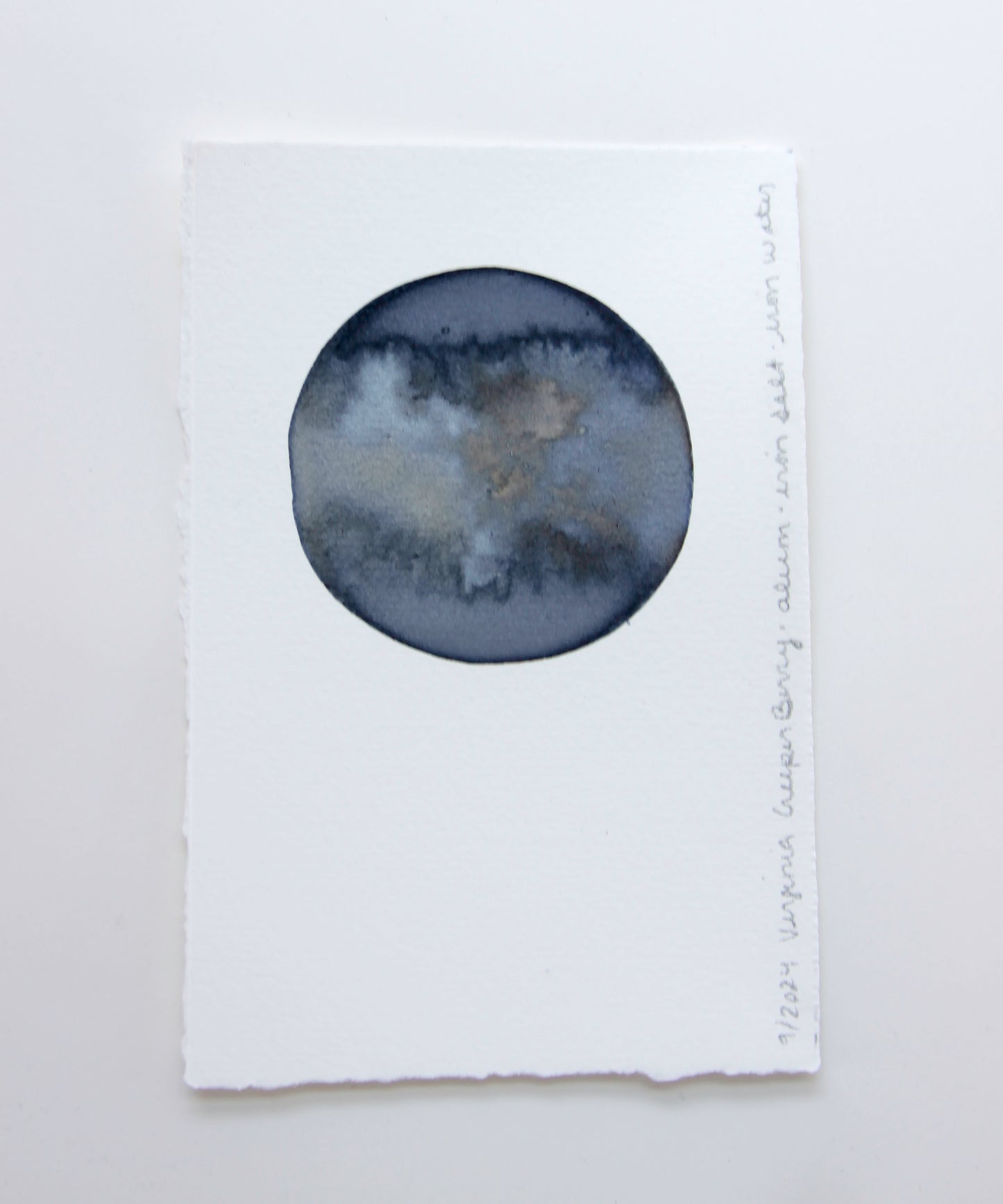 Virginia Creeper Berry Ink Study #2