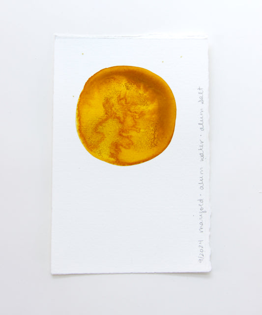 Marigold Ink Study