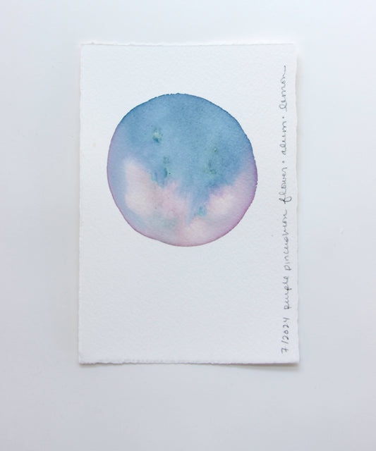 Purple Pincushion Flower Ink Study #1