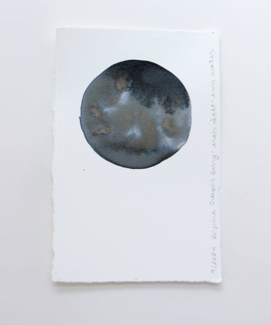 Virginia Creeper Berry Ink Study #1